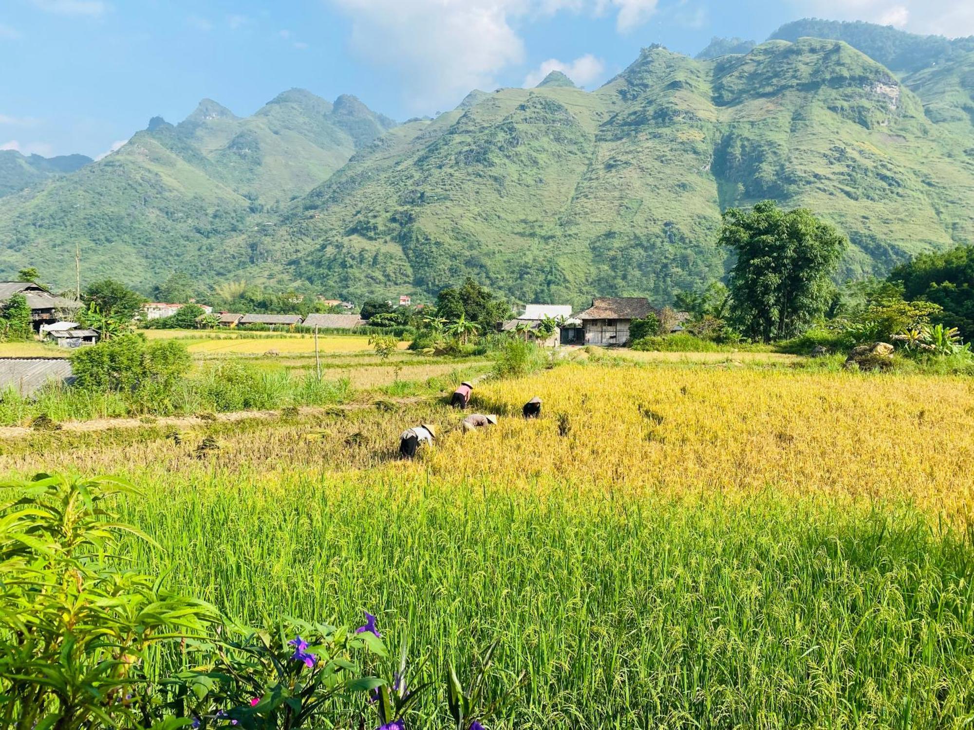 Du Gia Field View Homestay Làng Cac Exterior foto
