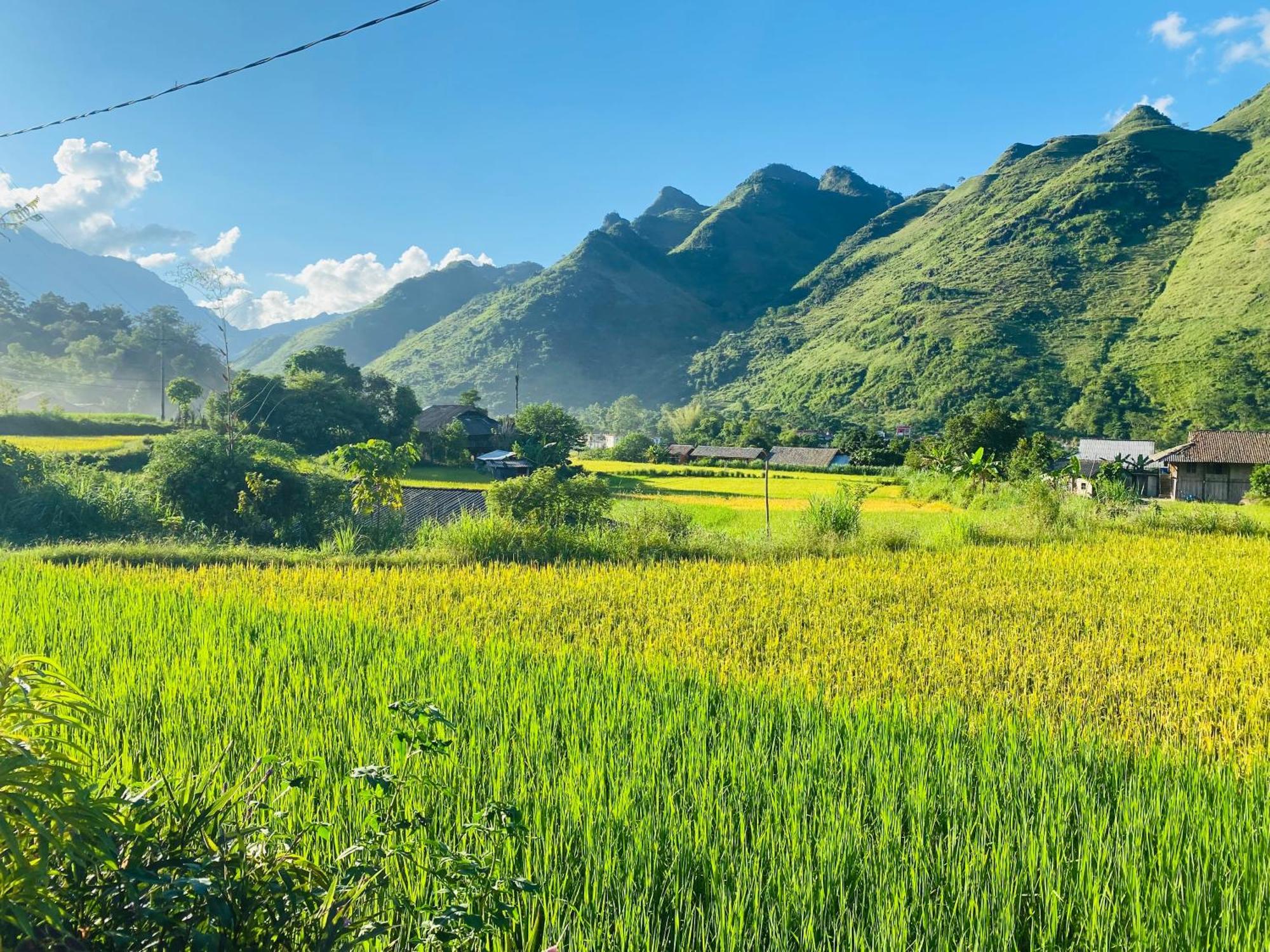 Du Gia Field View Homestay Làng Cac Exterior foto
