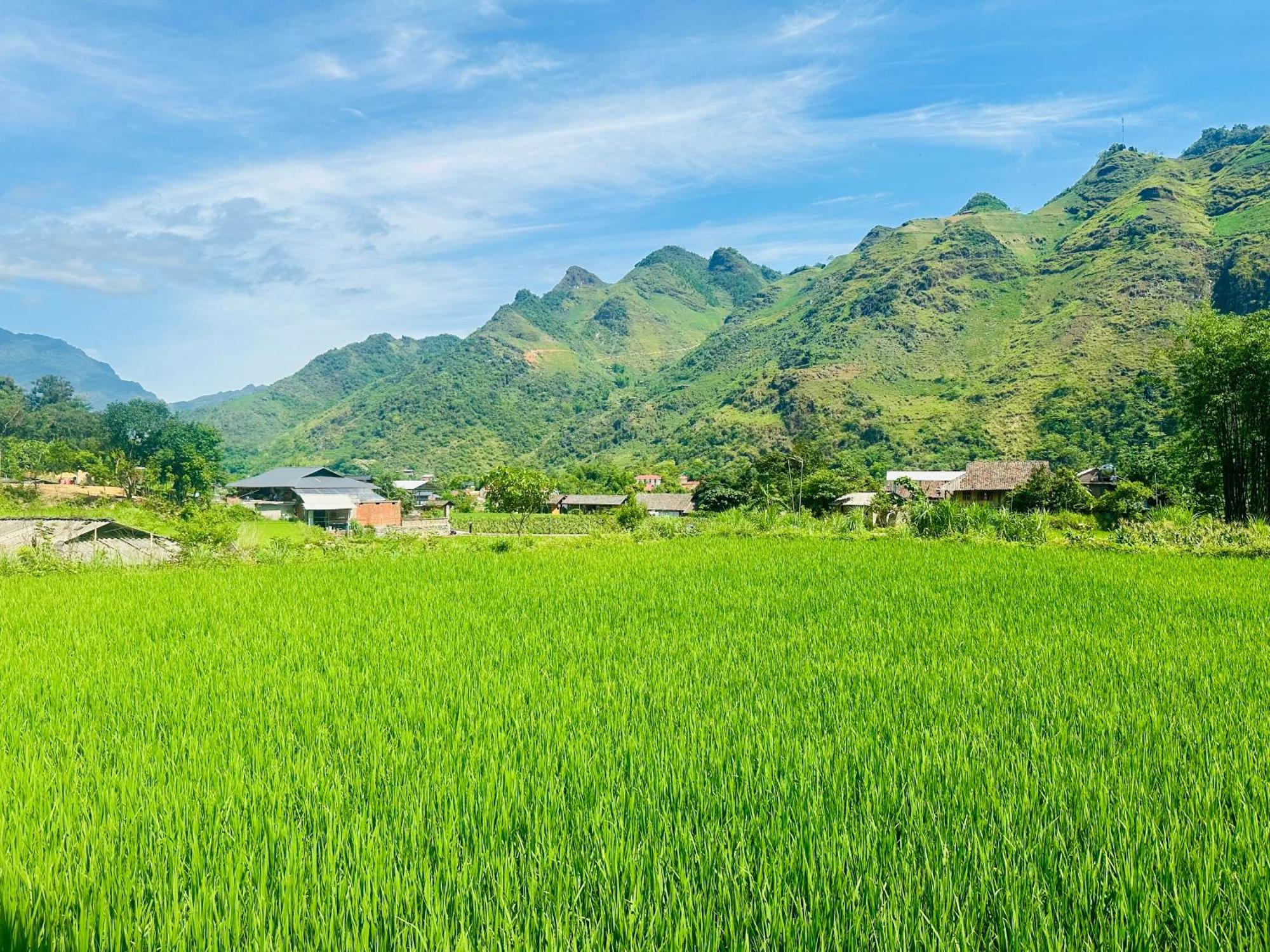 Du Gia Field View Homestay Làng Cac Exterior foto